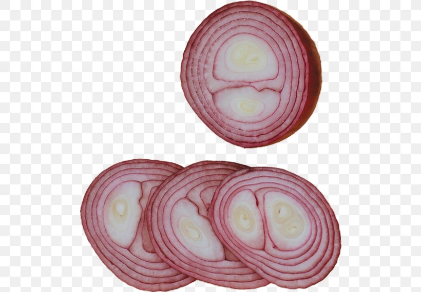 Red Onion Vegetable Garlic, PNG, 510x570px, Onion, Food, Garlic, Ingredient, Onion Genus Download Free