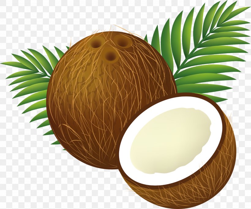 Clip Art Coconut Water Image, PNG, 1600x1331px, Coconut, Coconut Oil, Coconut Water, Egg, Food Download Free