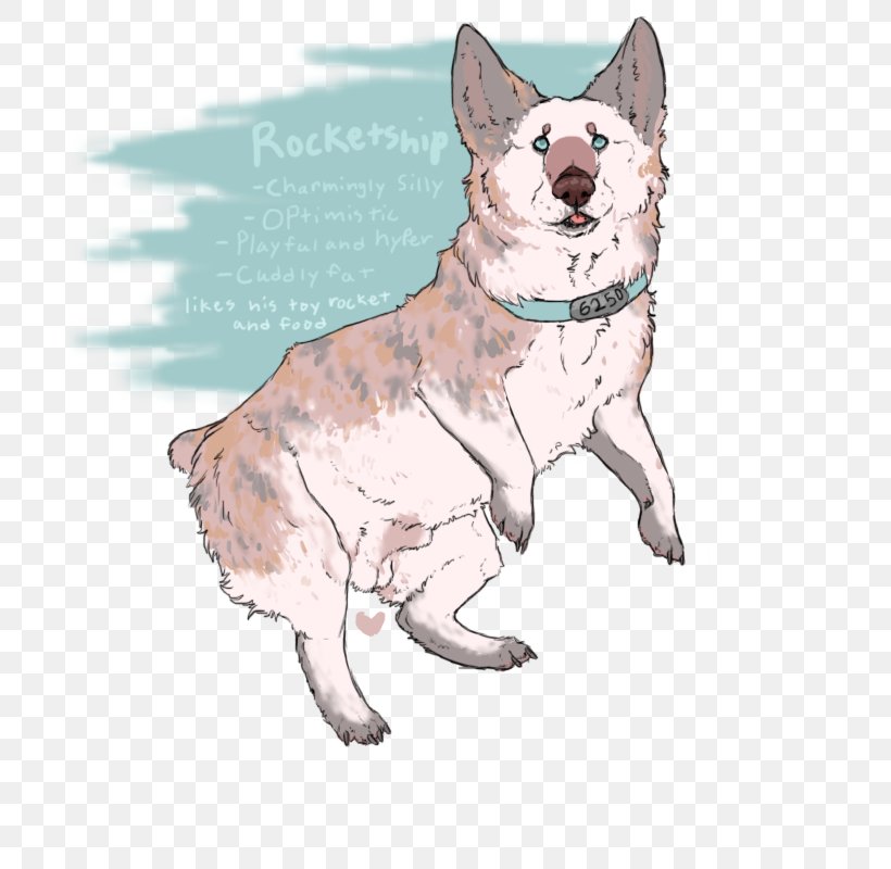 Dog Breed Australian Cattle Dog Whiskers Boskapshund, PNG, 700x800px, Dog Breed, Australian Cattle Dog, Boskapshund, Breed, Carnivoran Download Free