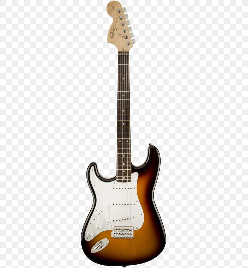 Fender Stratocaster Squier Deluxe Hot Rails Stratocaster Fender Bullet Fender Precision Bass, PNG, 300x886px, Fender Stratocaster, Acoustic Electric Guitar, Acoustic Guitar, Bass Guitar, Electric Guitar Download Free