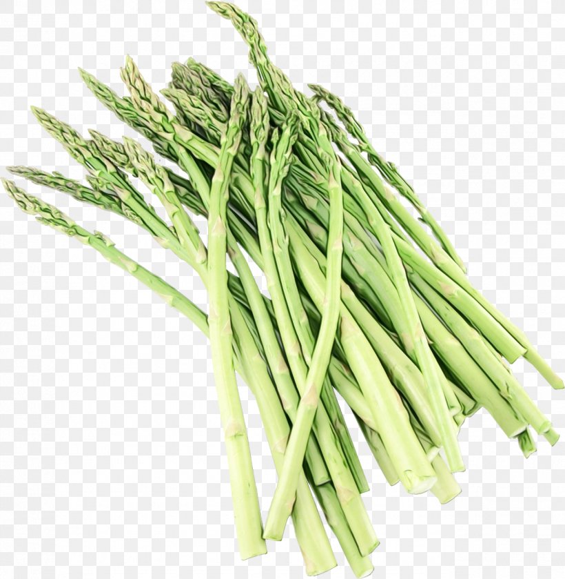 Frozen Food Cartoon, PNG, 1287x1317px, Asparagus, Broccoli, Can, Chives, Cooking Download Free