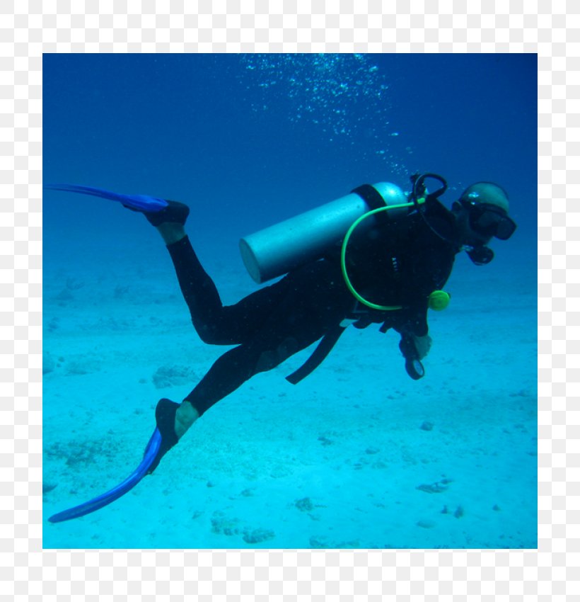 Scuba Diving Underwater Diving Scuba Set Diving Equipment, PNG, 700x850px, Scuba Diving, Aqua, Aquanaut, Buoyancy Compensator, Divemaster Download Free