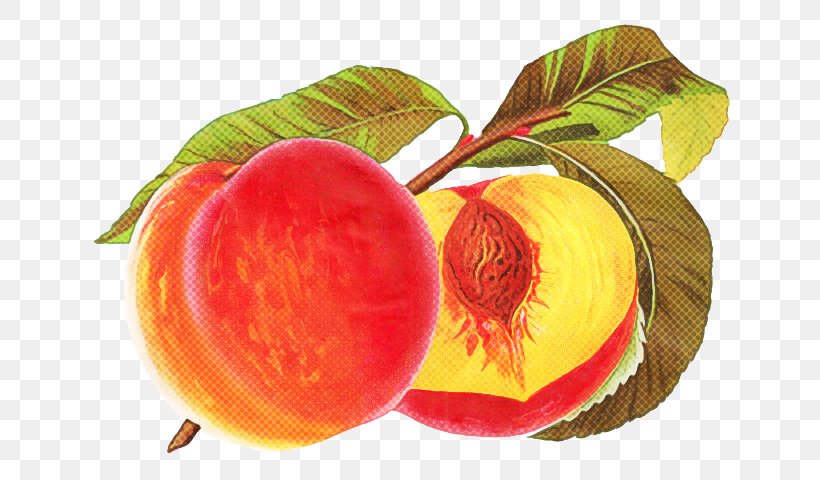 Fruit European Plum Plant Peach Food, PNG, 640x480px, Fruit, European Plum, Flower, Food, Leaf Download Free