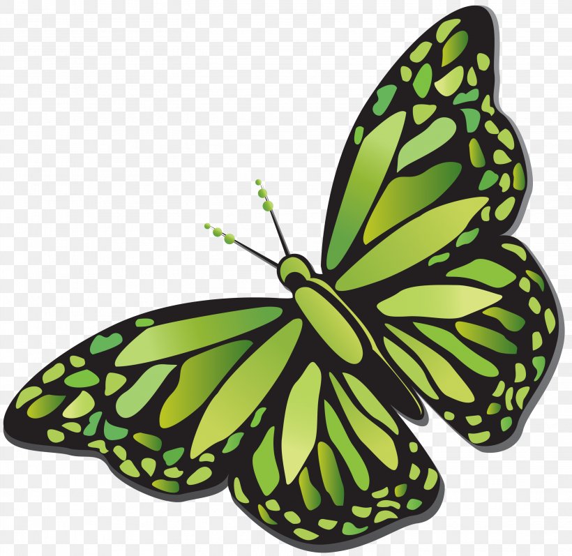 Green Tea Ice Cream Matcha Milk, PNG, 3044x2961px, Green Tea, Arthropod, Brush Footed Butterfly, Butterfly, Child Download Free