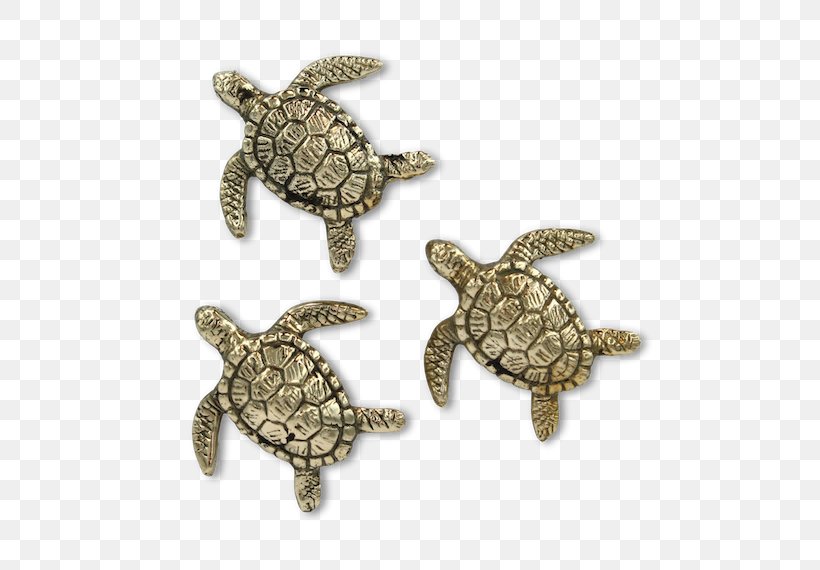 Sea Turtle Brass Metal Pond Turtles, PNG, 570x570px, Sea Turtle, Aesthetics, Animal, Brass, Emydidae Download Free