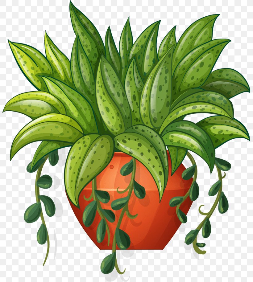 Vector Graphics Flowerpot Illustration Plants Design, PNG, 803x915px, Flowerpot, Botany, Conifers, Flower, Flowering Plant Download Free