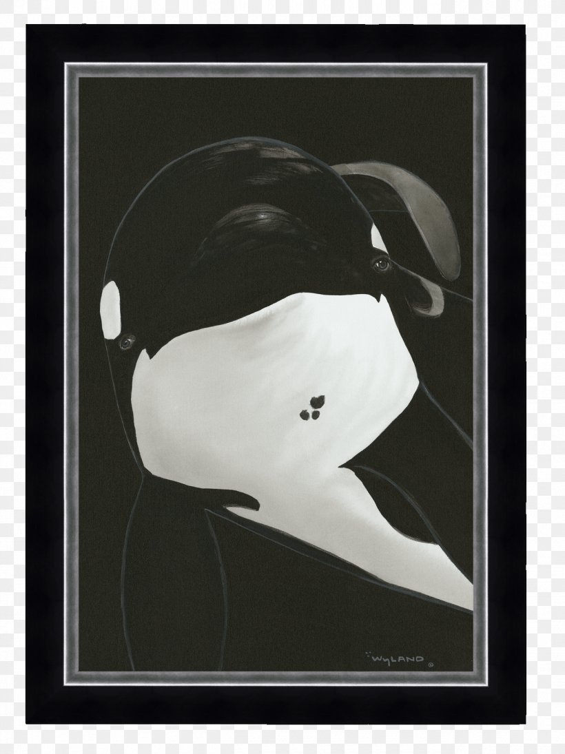 Killing Keiko: The True Story Of Free Willy's Return To The Wild Reino Aventura Killer Whale, PNG, 1290x1723px, Keiko, Artwork, Black, Black And White, Cetacea Download Free