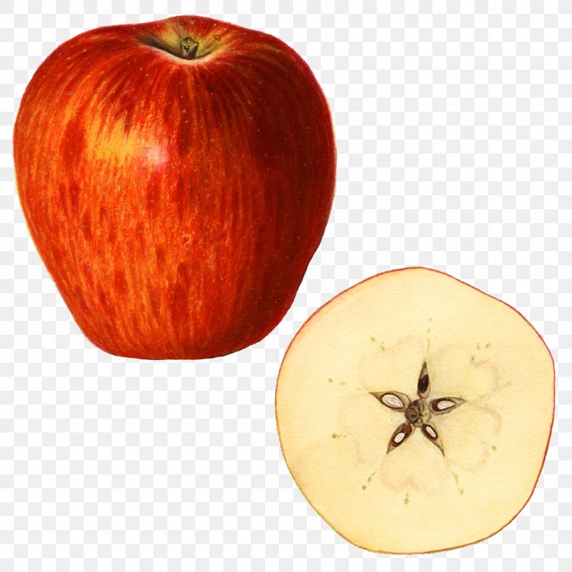 Kilogram Apple Winter Squash Weight, PNG, 1920x1920px, Kilogram, Apple, Food, Fruit, Weight Download Free