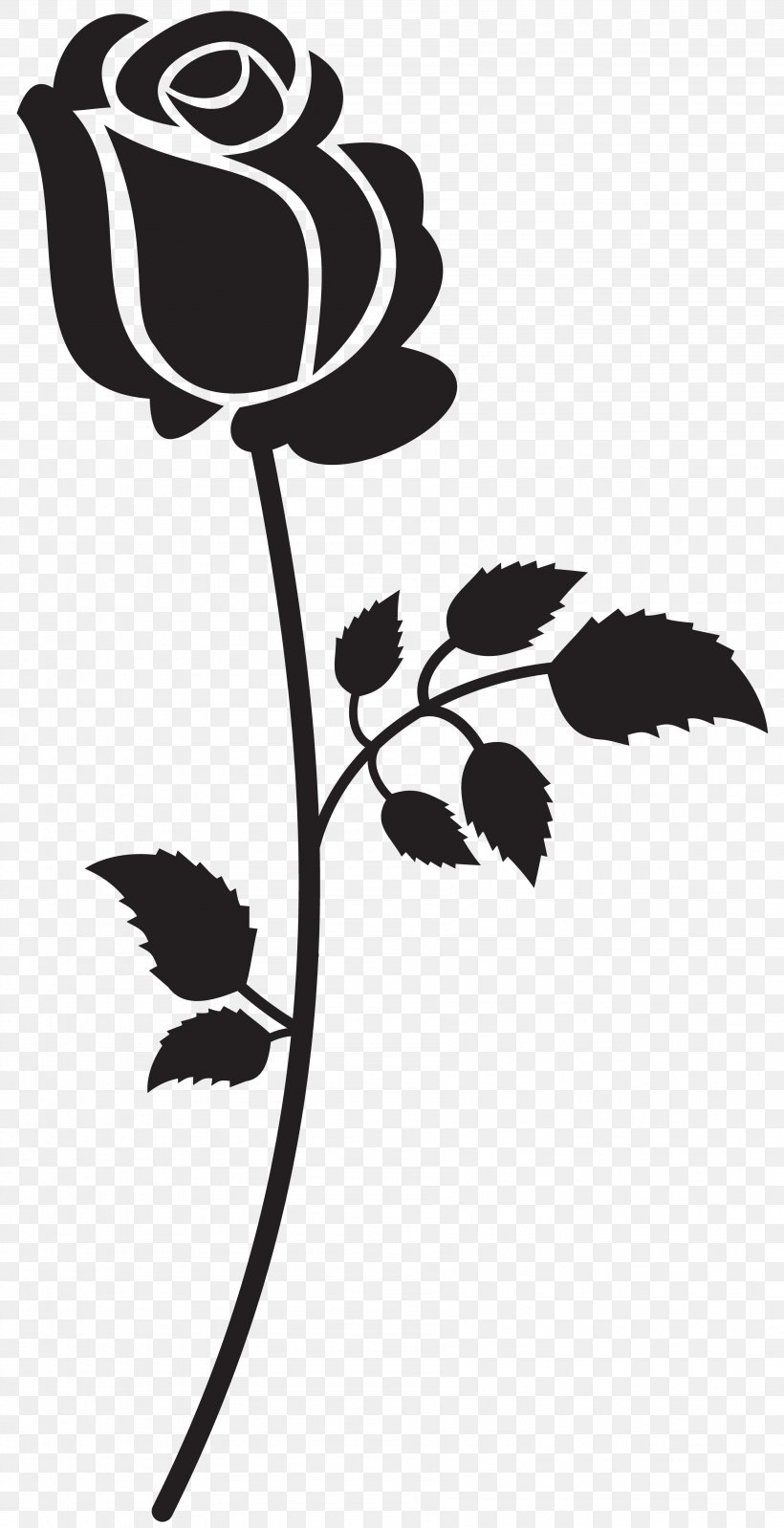 Silhouette Song Clip Art, PNG, 3591x7000px, Rose, Art, Black, Black And White, Black Rose Download Free