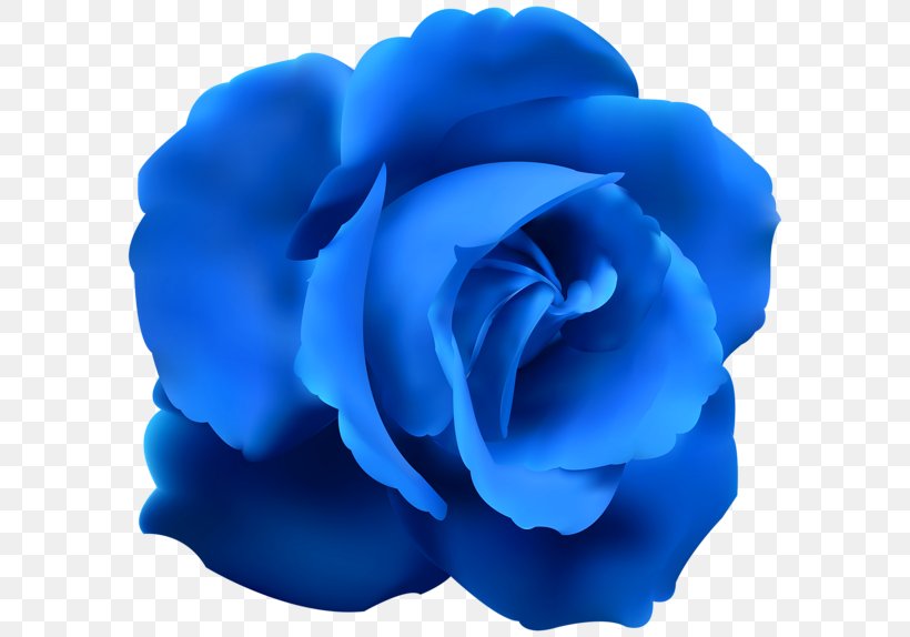 Blue Rose Clip Art, PNG, 600x574px, Blue Rose, Blue, Cobalt Blue, Cut