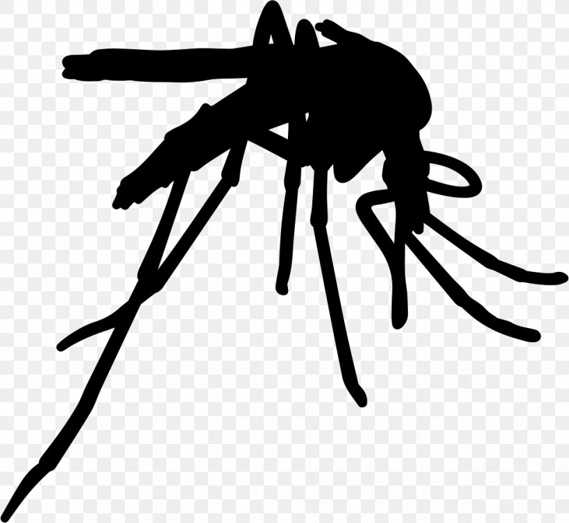 Insect Yellow Fever Mosquito Pest Control Vector Zika Fever, PNG, 982x904px, Insect, Aedes, Animal, Arthropod, Black Download Free