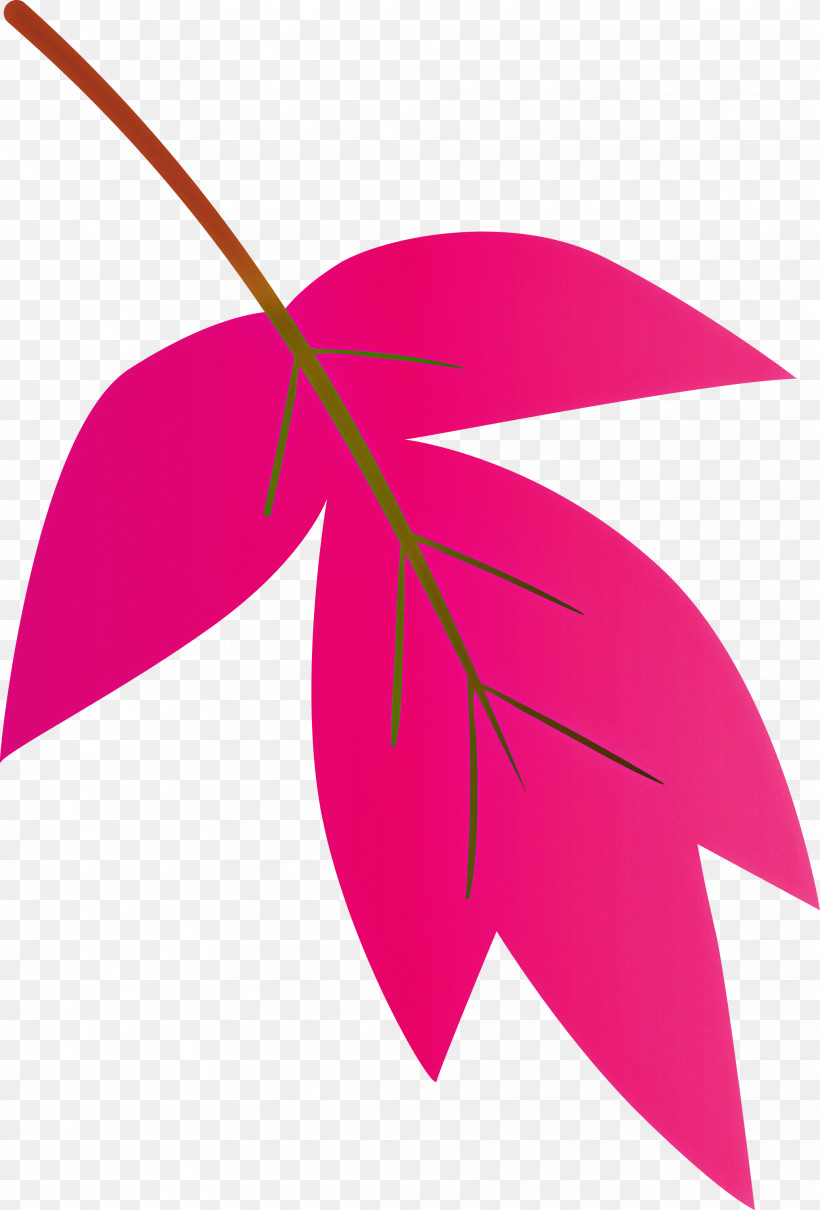 Leaf Pink Line Plant Magenta, PNG, 2032x3000px, Watercolor Leaf, Flower, Leaf, Line, Logo Download Free