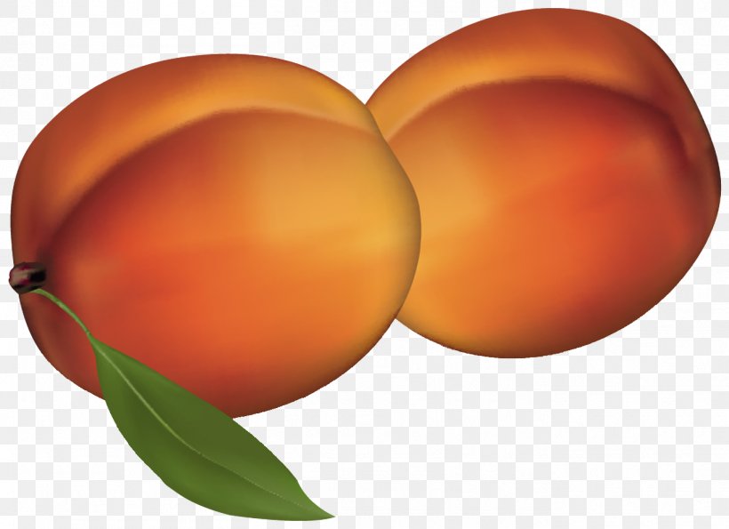 Peach Fruit Clip Art, PNG, 1362x989px, Peach, Apricot, Auglis, Commodity, Egg Download Free