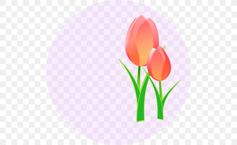 Tulip Clip Art, PNG, 500x500px, Tulip, Drawing, Flower, Flowering Plant, Lily Family Download Free