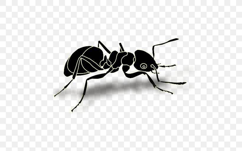 Black Garden Ant Insect Clip Art, PNG, 512x512px, Ant, Arthropod, Beetle, Black And White, Black Garden Ant Download Free