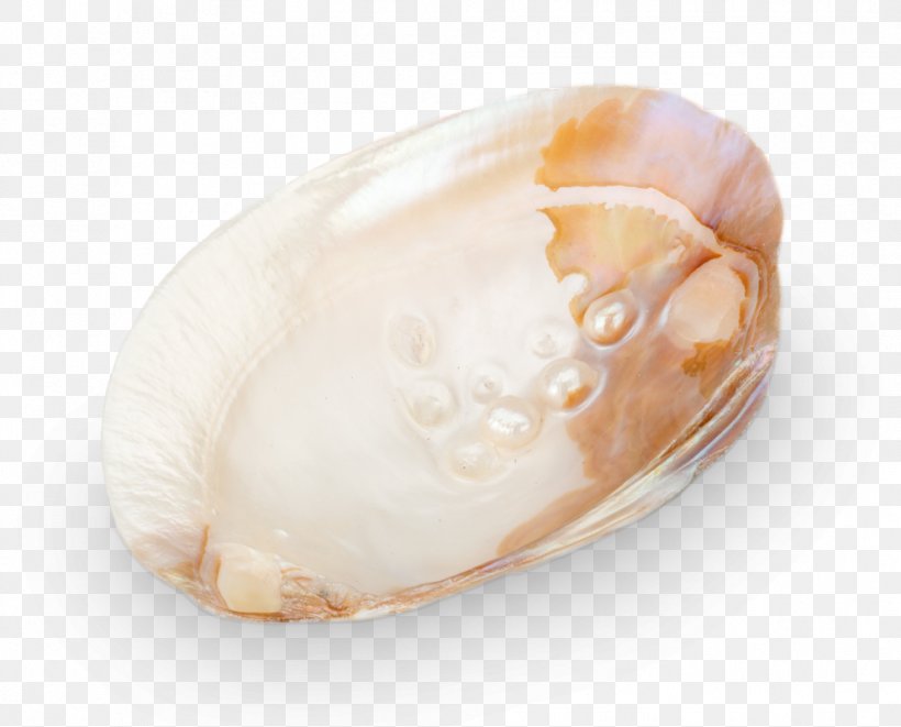 Hyriopsis Pearl Unio Hair Jewellery Clam, PNG, 991x800px, Pearl, Ceramic, Clam, Clams Oysters Mussels And Scallops, Conch Download Free