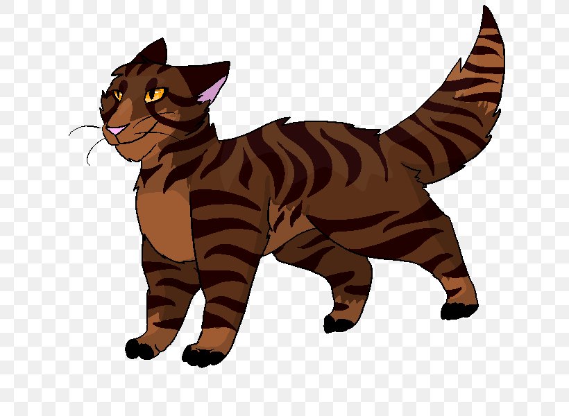 Toyger Manx Cat Whiskers Tabby Cat Domestic Short-haired Cat, PNG, 800x600px, Toyger, Animal Figure, Carnivoran, Cartoon, Cat Download Free