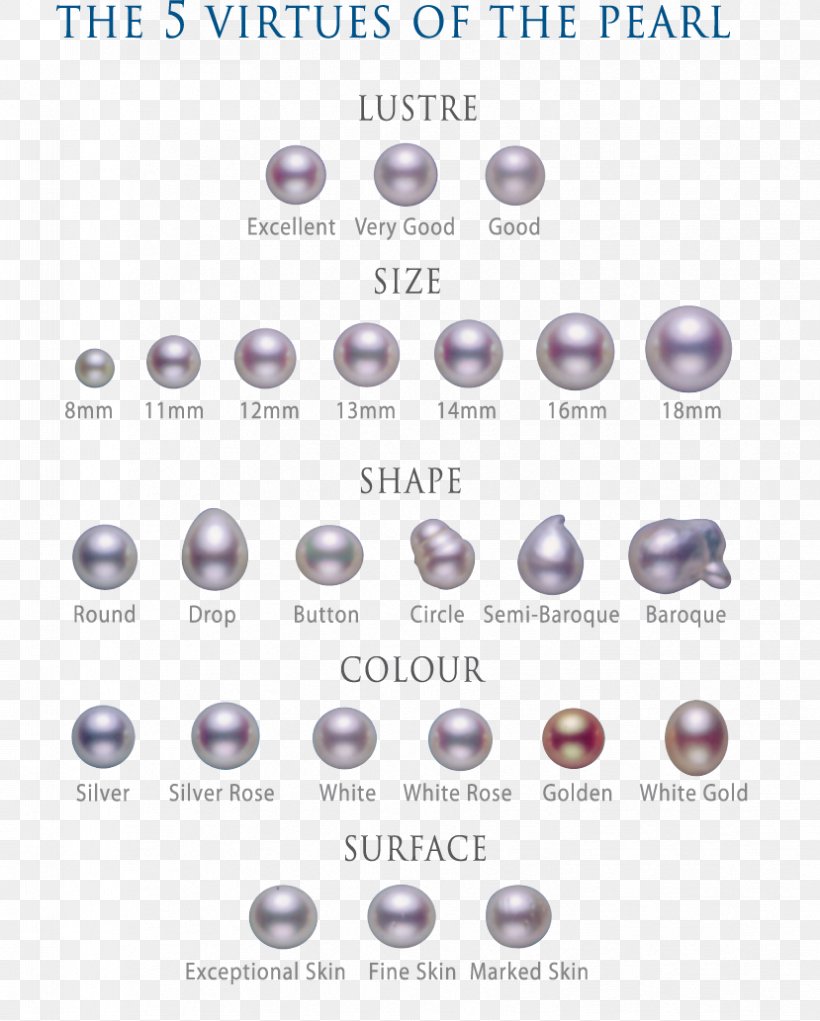 Bead Material Body Jewellery Barnes & Noble Font, PNG, 829x1033px, Bead, Barnes Noble, Body Jewellery, Body Jewelry, Button Download Free
