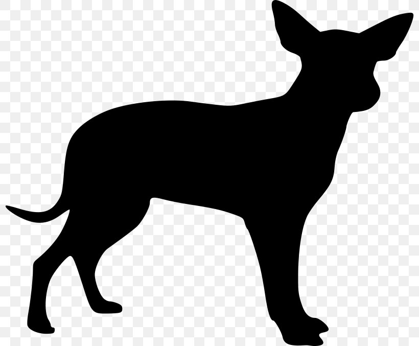 Boxer Labrador Retriever Akita Puppy Pet Sitting, PNG, 800x677px, Boxer, Akita, Black, Black And White, Carnivoran Download Free