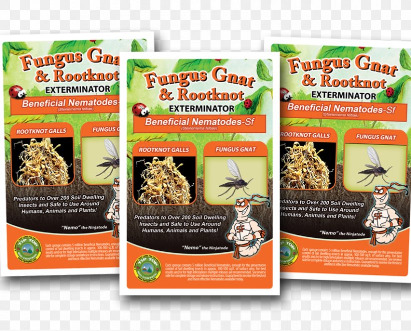 Fungus Gnat Insect Heterorhabditis Bacteriophora Roundworms, PNG, 850x686px, Fungus Gnat, Animal, Beneficial Insects, Convenience Food, Fly Download Free