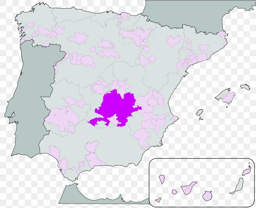 La Mancha DO Castilla–La Mancha Wine Bullas DO, PNG, 1920x1564px, La Mancha Do, Area, Border, Castillala Mancha, Common Grape Vine Download Free