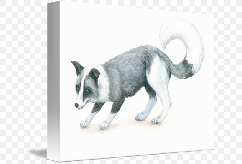 Silver Fox Domesticated Red Fox The Holocaust Dog, PNG, 650x555px, Silver Fox, Carnivoran, Cat, Cat Like Mammal, Dog Download Free