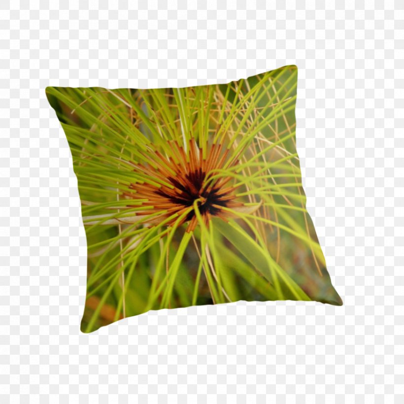 Throw Pillows Cushion, PNG, 875x875px, Throw Pillows, Cushion, Flower, Grass, Throw Pillow Download Free