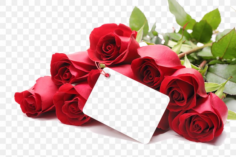Valentine's Day Propose Day Love Gift February 14, PNG, 1280x853px, Valentine S Day, Cut Flowers, Ecard, February 14, Floral Design Download Free