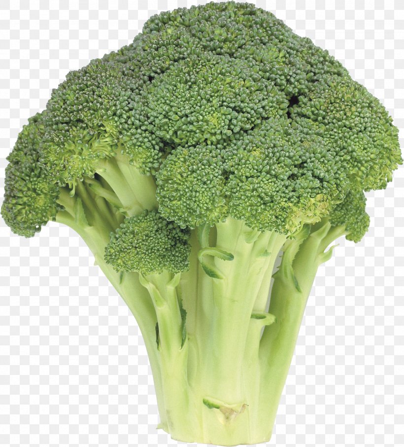Broccoli Rapini Vegetable, PNG, 1866x2062px, Broccoli Slaw, Broccoli, Cabbage, Food, Grass Download Free