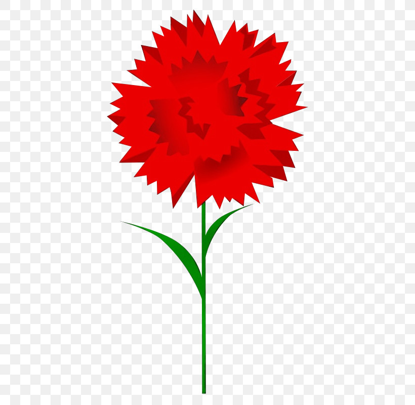 Flower Red Plant Gerbera Cut Flowers, PNG, 800x800px, Watercolor, Carnation, Cut Flowers, Daisy Family, Dianthus Download Free