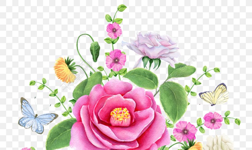 Garden Roses Floral Design Watercolor Painting Stock Illustration Vector Graphics, PNG, 780x488px, Garden Roses, Art, Cut Flowers, Flora, Floral Design Download Free