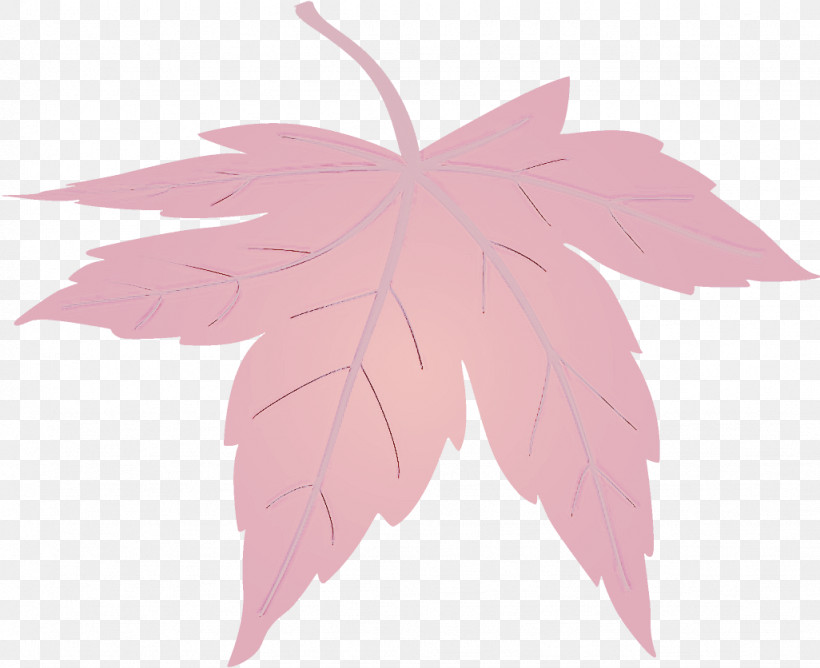 Maple Leaf Fallen Leaf Dead Leaf, PNG, 1026x836px, Maple Leaf, Autumn Leaf, Dead Leaf, Fallen Leaf, Flower Download Free