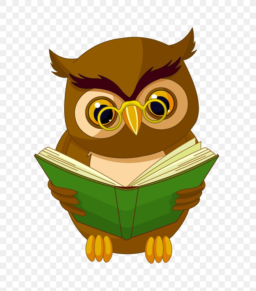 Owl Animated Cartoon Clip Art Drawing, PNG, 803x931px, Owl, Animated Cartoon, Animation, Art, Bird Download Free