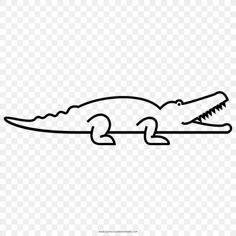 Crocodiles Coloring Book Drawing American Alligator, PNG, 1000x1000px