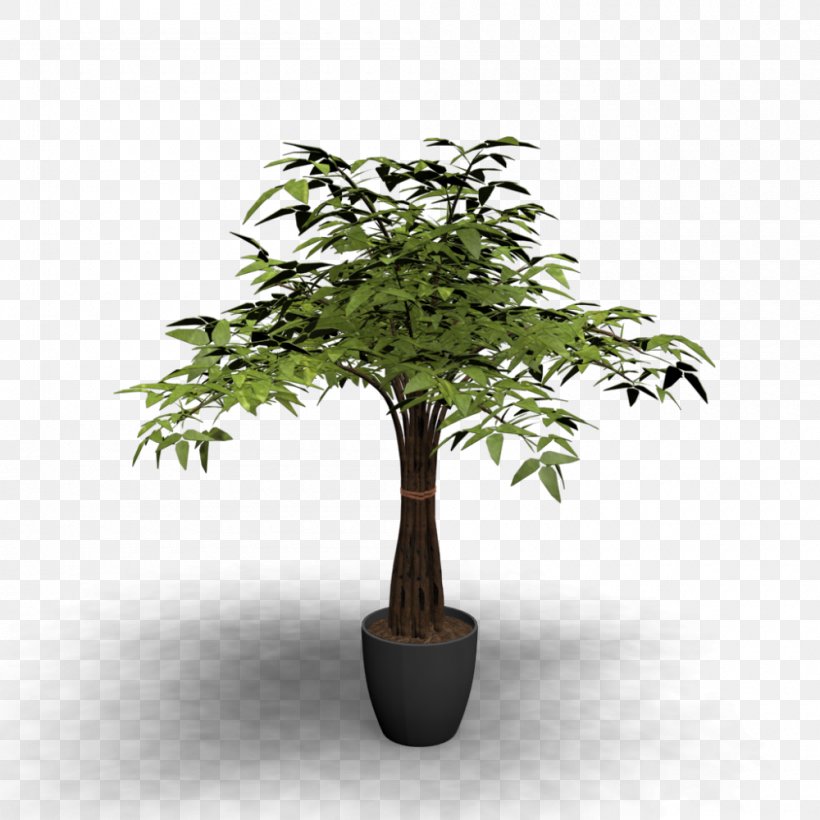 Tree Table Flowerpot Houseplant, PNG, 1000x1000px, Tree, Bonsai, Branch, Bucket, Cabinetry Download Free