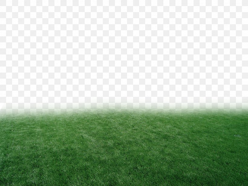Pasture Lawn Meadow Grasses Grassland, PNG, 1600x1200px, Pasture, Artificial Turf, Atmosphere, Email, Field Download Free