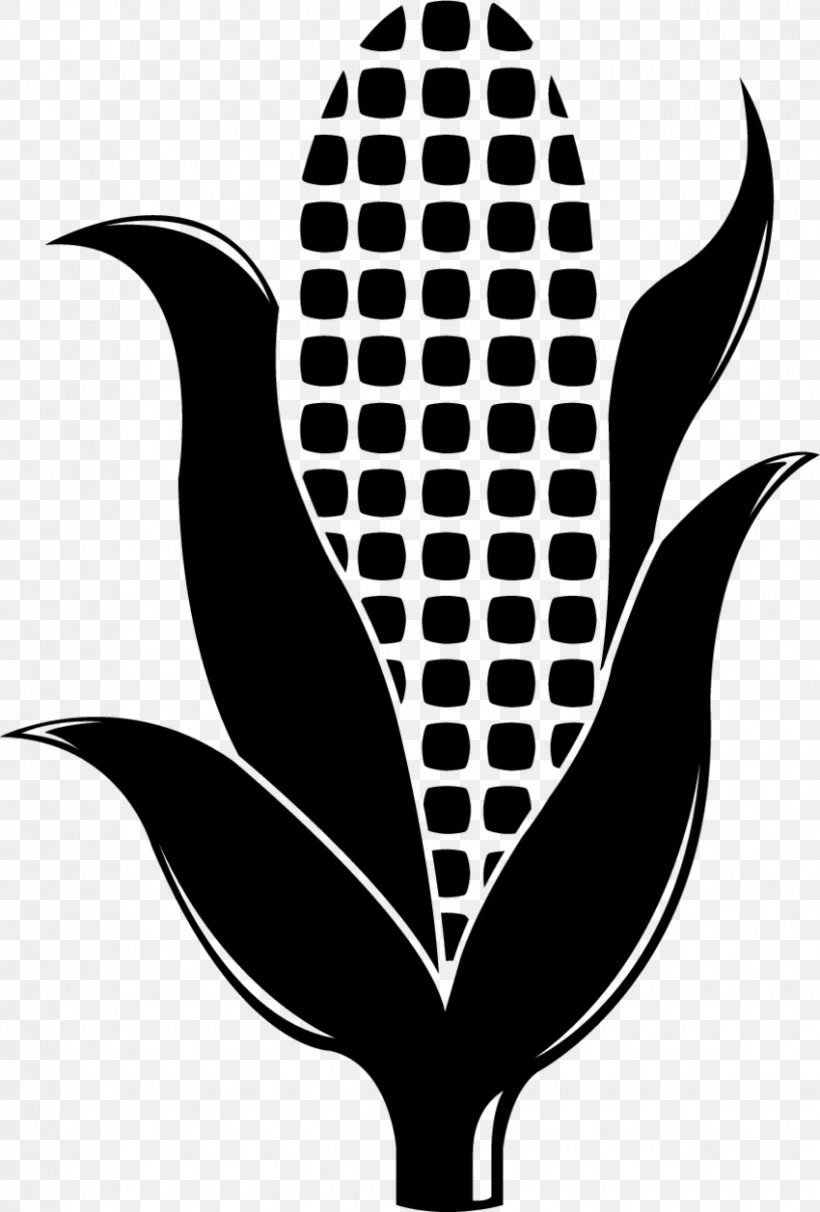 Seed Company Leaf Plant Stem Clip Art, PNG, 850x1257px, Seed, Black And White, Database Index, Flora, Leaf Download Free