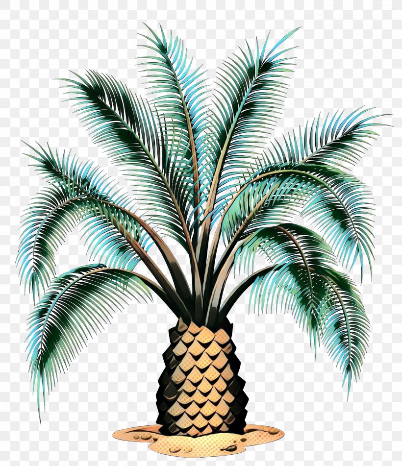 Vector Graphics Stock Illustration Royalty-free Palm Trees, PNG, 2585x3000px, Royaltyfree, Ananas, Arecales, Attalea Speciosa, Botany Download Free