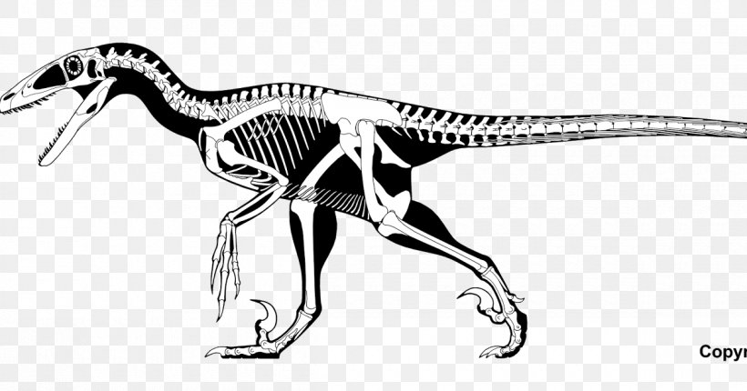 Deinonychus Velociraptor Spinosaurus Allosaurus Dilophosaurus, PNG, 1200x630px, Deinonychus, Allosaurus, Animal Figure, Black And White, Claw Download Free