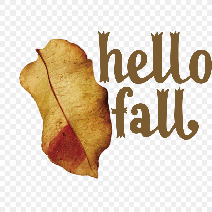 Hello Fall Fall Autumn, PNG, 3000x2998px, Hello Fall, Autumn, Fall, Junk Food, Meter Download Free