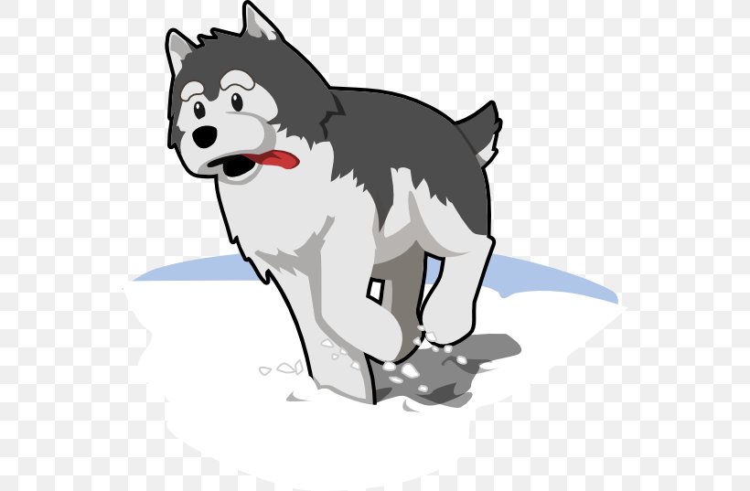 Siberian Husky Puppy Clip Art, PNG, 555x537px, Siberian Husky, Art, Carnivoran, Cartoon, Cat Download Free