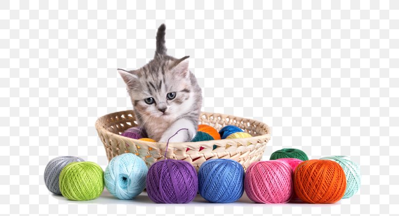 Cat Kitten Yarn Thread Crochet, PNG, 699x444px, Cat, Acrylic Fiber, Cat Like Mammal, Cat Play And Toys, Cotton Download Free