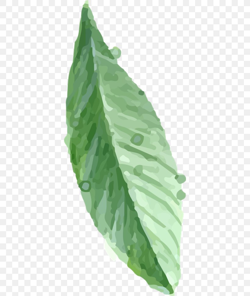 Leaf ArtWorks, PNG, 400x973px, Leaf, Artworks, Botany, Breathing, Leaf Vegetable Download Free