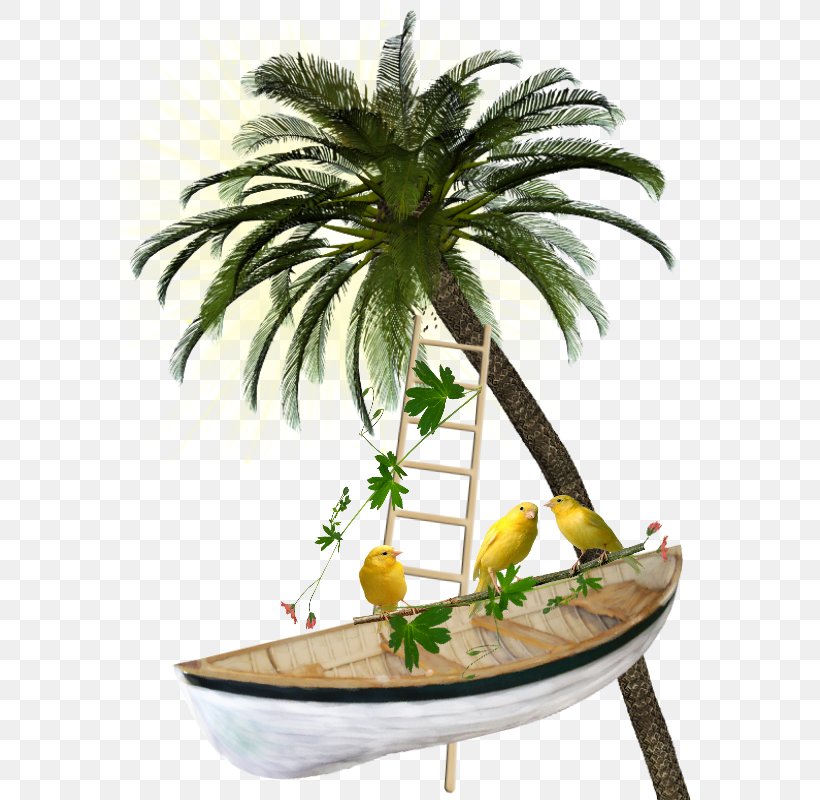 Ship Clip Art, PNG, 600x800px, Ship, Arecales, Boat, Coconut, Collage Download Free