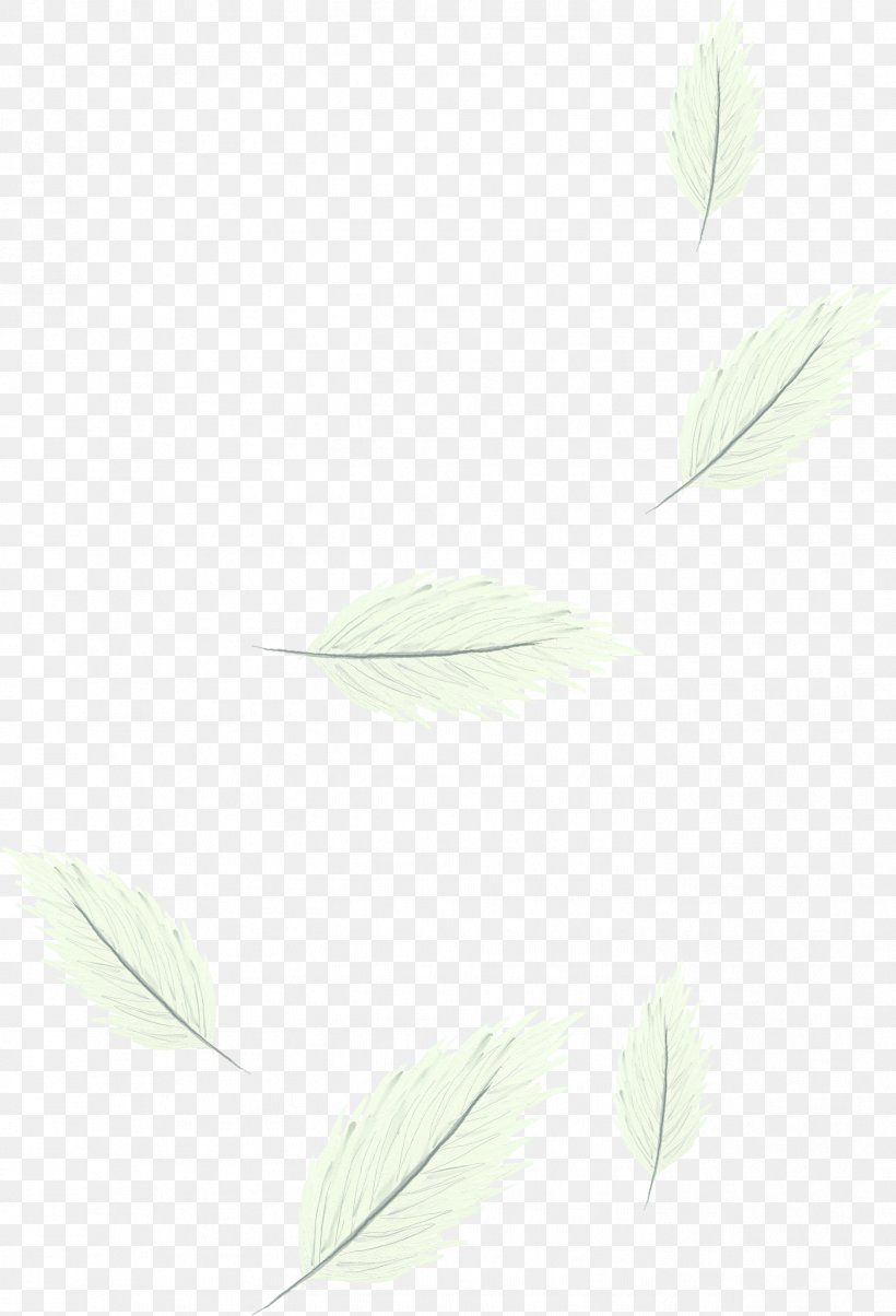 Angle Pattern, PNG, 1402x2060px, Material, Green Download Free