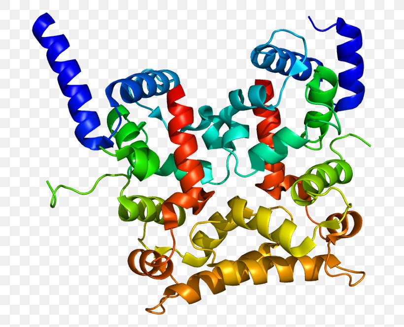 Calcineurin B Homologous Protein 1 Gene EF Hand, PNG, 739x665px, Watercolor, Cartoon, Flower, Frame, Heart Download Free