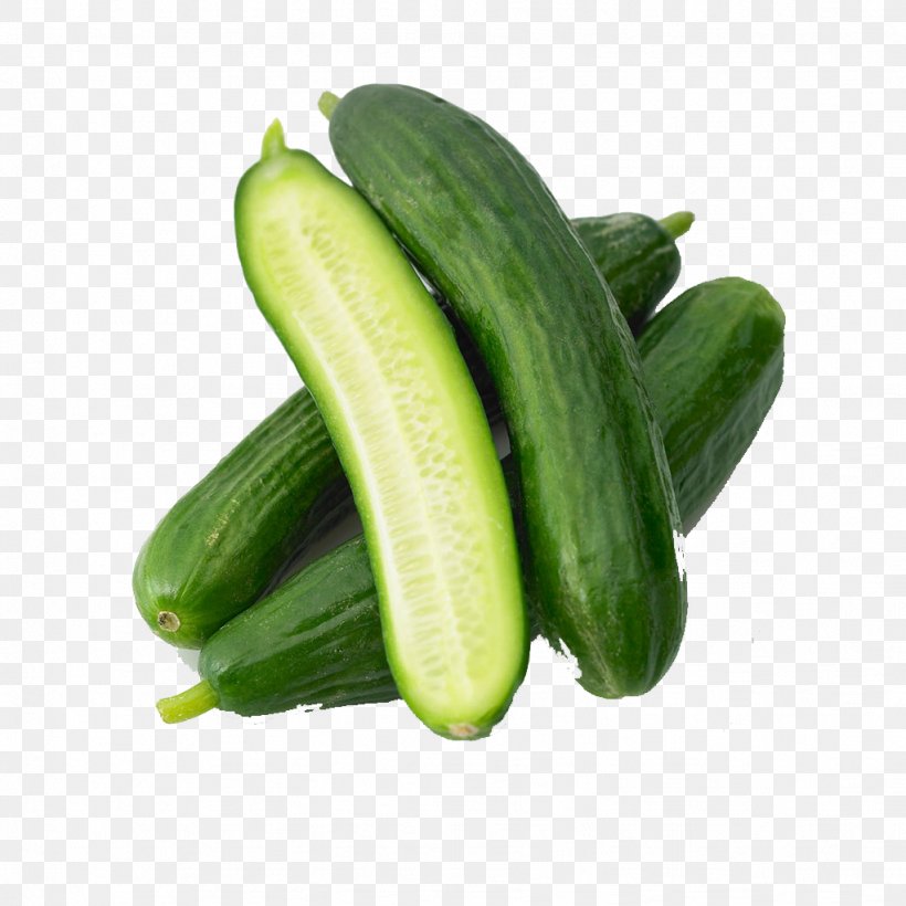 Cucumber Milk Melon Vegetable Food, PNG, 1023x1024px, Cucumber, Armenian Cucumber, Auglis, Cucumber Gourd And Melon Family, Cucumis Download Free