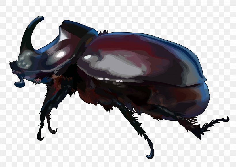 Dung Beetle Hercules Beetle Escarabajo Rinoceronte Japanese Rhinoceros Beetle, PNG, 3508x2480px, Beetle, Arthropod, Chitin, Drawing, Dung Beetle Download Free