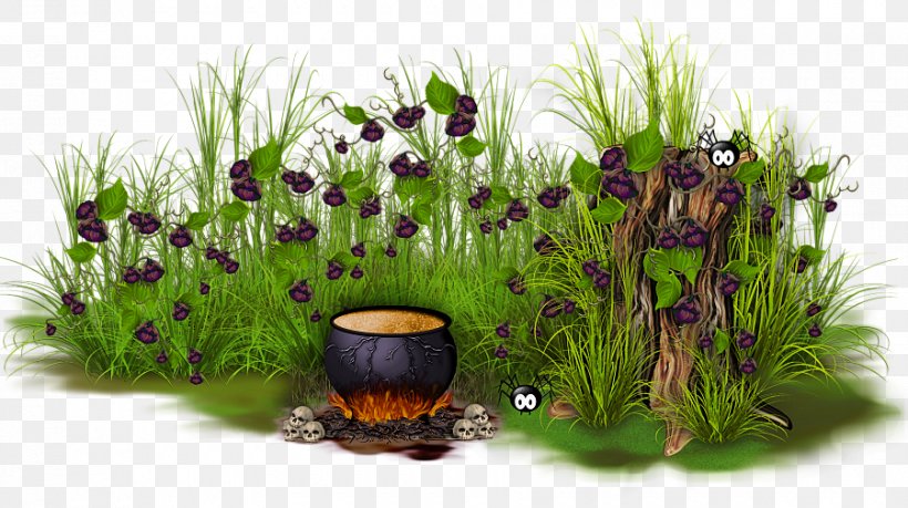 Flowerpot Grasses Herb Purple, PNG, 900x504px, Flowerpot, Flower, Grass, Grass Family, Grasses Download Free