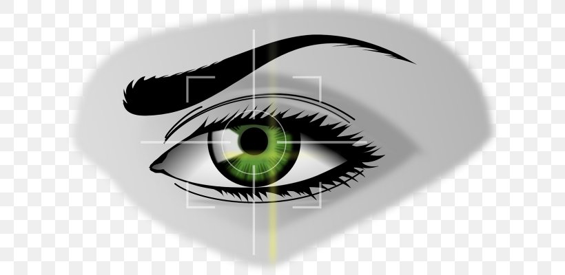 Iris Recognition Image Scanner Human Eye Retinal Scan, PNG, 770x400px, Watercolor, Cartoon, Flower, Frame, Heart Download Free